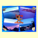 Gaeta Greetings postcards