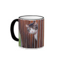 Gage mugs