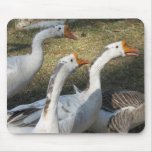 Gaggle of Geese Mousepad