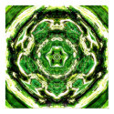 Gaia Vision 3 posters