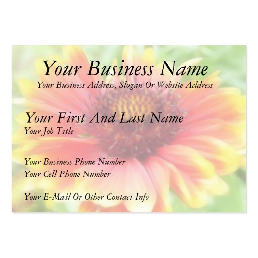 Gaillardia Bloom Up Close Business Card (front side)