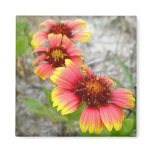 Gaillardia Wildflower (Blanket Flower) Tote Bag Refrigerator Magnets