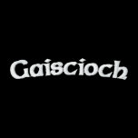 Gaiscioch Embroidered Women's Polo