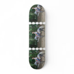 Gaited Paso Fino Skateboard