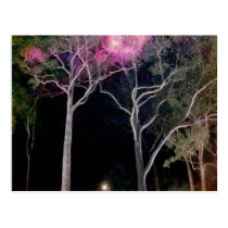 Galactic Gumtrees Postcard postcards