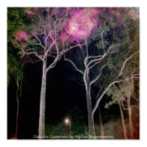 Galactic Gumtrees Poster posters