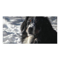 Galadriel Personalized Photo Card