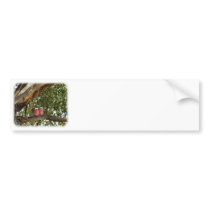 Galah 9R033D-14 bumper stickers by TraffordPhotos Galah 9R033D-14 bumper stickers