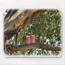 Galah 9R033D-14 mousepads by TraffordPhotos Galah 9R033D-14 mousepads