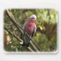 Galah 9Y201D-047 mousepads by TraffordPhotos Galah 9Y201D-047 mousepads