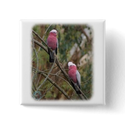Galah 9Y209D-155 Pinback Button by TraffordPhotos