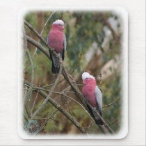 Galah 9Y209D-155 mousepads by TraffordPhotos Galah 9Y209D-155 mousepads