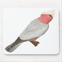 Galah - Cacatua roseicapilla mousepads by LisasLair Galah - Cacatua roseicapilla mousepads