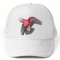 Galah Cockatoo Hat by twopurringcats Galah Cockatoo Hat