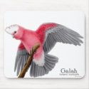 Galah Cockatoo Mousepad