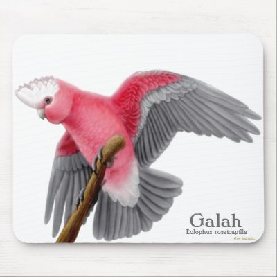 Galah Cockatoo Mousepad by twopurringcats