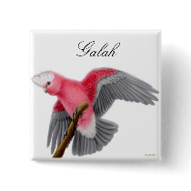 Galah Pin buttons by twopurringcats Galah Pin buttons