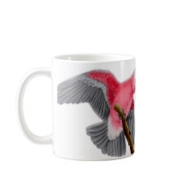 Galah Rose Breasted Cockatoo Mug