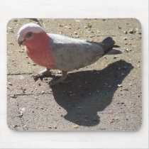 GALAH SHADOW MOUSEPAD by Dianekmt GALAH SHADOW MOUSEPAD