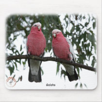 Galahs 9Y517D-003 mousepads by TraffordPhotos Galahs 9Y517D-003 mousepads