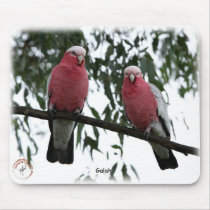 Galahs 9Y517D-004 mousepads by TraffordPhotos Galahs 9Y517D-004 mousepads