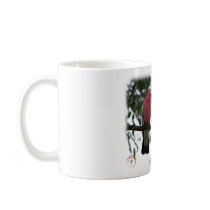 Galahs 9Y517D-004 mugs