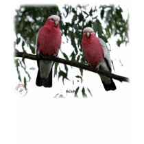Galahs 9Y517D-004 t-shirts by TraffordPhotos Galahs 9Y517D-004 t-shirts
