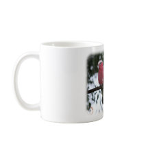 Galahs 9Y517D-018 mugs
