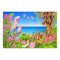 Galahs posters by joeyartist Galahs posters