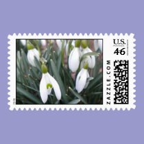 Galanthus Nivalis Pstage Stamps stamps