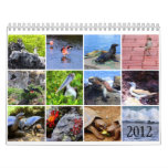 Galapagos - featuring Charles Darwin - 2012 Calendar