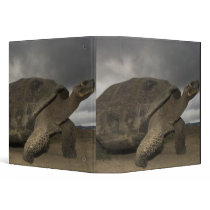 Galapagos Giant Tortoise Geochelone Vinyl Binders