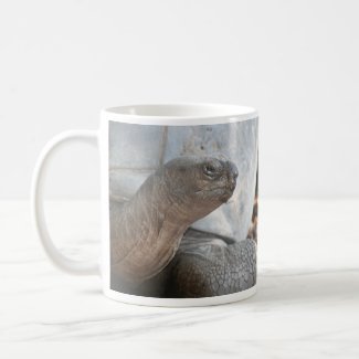 Galápagos giant tortoise photograph mug