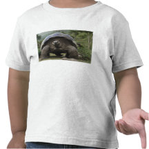 Galapagos Giant Tortoises Geochelone T Shirt