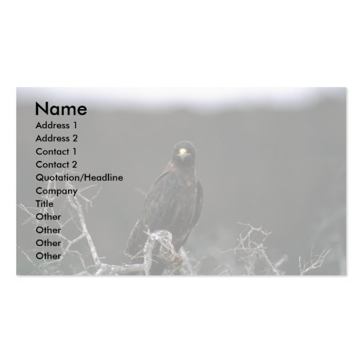 Galapagos Hawk Business Card Template