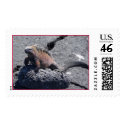 Galapagos Island Christmas Iguana postage