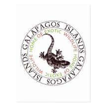 Galapagos Islands Gecko Postcard