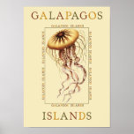 Galapagos Islands Jellyfish Posters