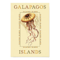 Galapagos Islands Jellyfish posters