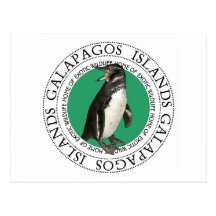 Galapagos Islands Penguin Postcards