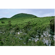 Galapagos Islands photo sculptures by animalpark Galapagos Islands photo sculptures