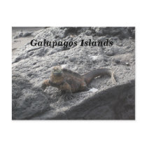 Galapagos Islands postcards