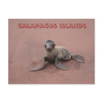 galapagos islands postcards