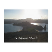 Galapagos Islands Postcard