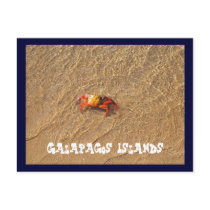Galapagos Islands postcards