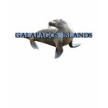 Galapagos Islands Sea Lion T Shirts