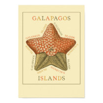 Galapagos Islands Starfish posters