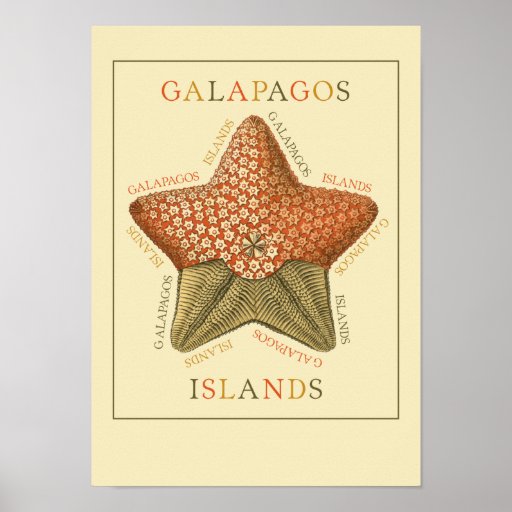 Galapagos Islands Starfish Poster