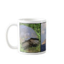 Galapagos Mug