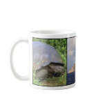 Galapagos Mug